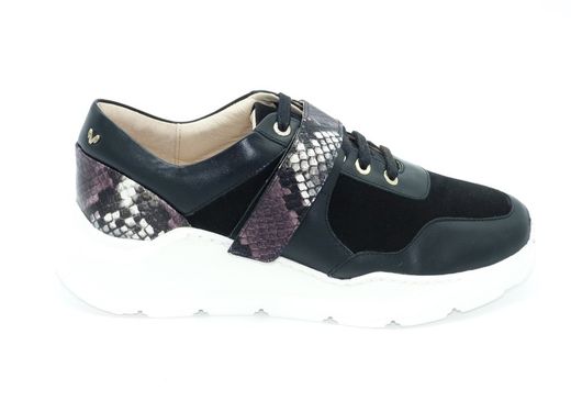 Deportivo Velcro Sneaker Martinelli Kate 1452 Negro
